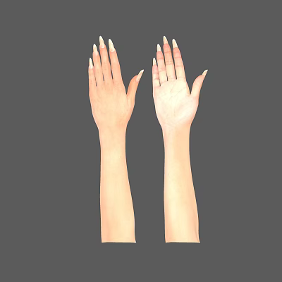Natural Skin Tone Hands And Arms With Neatly Trimmed Nails On Gray Background 3d model