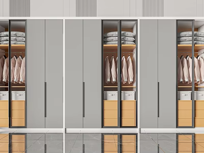 Modern Wardrobe Design With Glass Doors Hanging Clothes And Wooden Storage Drawers 3d model