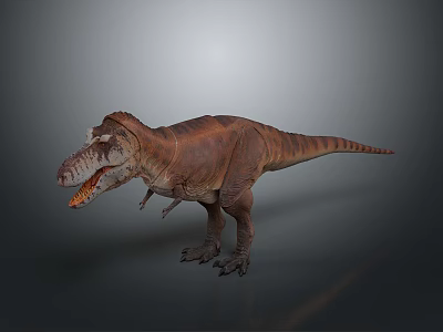 Tyrannosaurus Rex Dinosaur Standing On Gray Background With Open Mouth And Brown Orange Skin 3d model