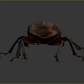 Reddish Brown Beetle with Large Mandibles and Slender Legs on Gray Background 3d model