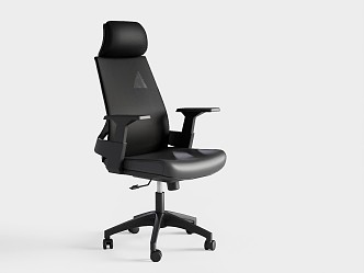 Toledo Office Chair with Neck 3d model