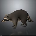 Low Poly Raccoon 3D Model in Standing Pose on Gray Background with Reflective Surface 3d model