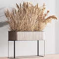 Shower Sauna Space Decorated With Dried Wheat Herbs In Wooden Planter