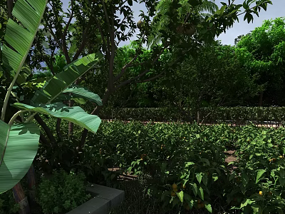 Tropical Garden Landscape With Banana Trees Vegetable Beds And Lush Greenery 3d model