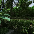 Tropical Garden Landscape With Banana Trees Vegetable Beds And Lush Greenery