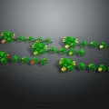 Colorful Plants With Green Leaves And Red Yellow Flowers Arranged On Dark Background