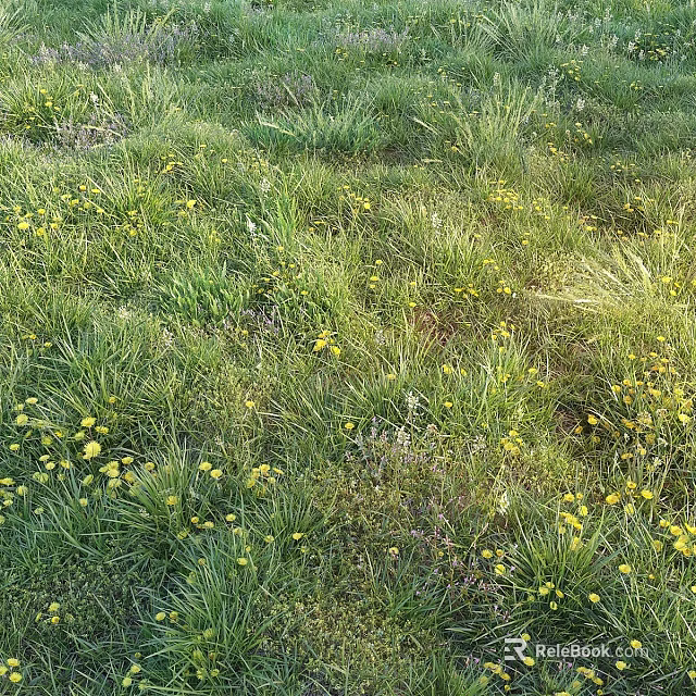 Natural Garden Accents Featuring Lush Green Grass And Bright Yellow Flowers 3d model 