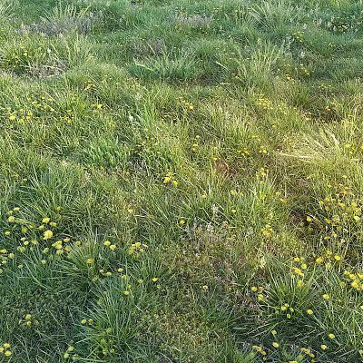 Natural Garden Accents Featuring Lush Green Grass And Bright Yellow Flowers 3d model