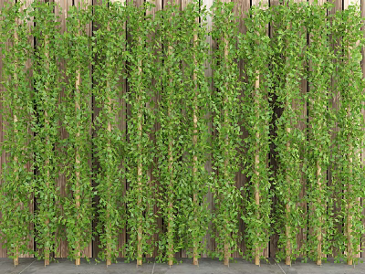 Lush Green Climbing Vines Covering Wooden Fence For Garden Decoration 3d model