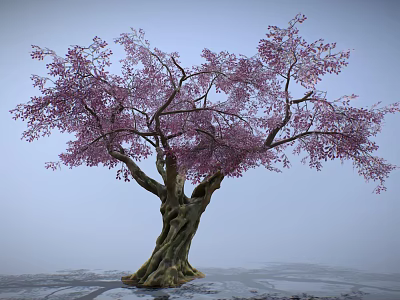 Vibrant Flowering Arbor with Pink Blossoms and Sturdy Trunk in Misty Setting 3d model