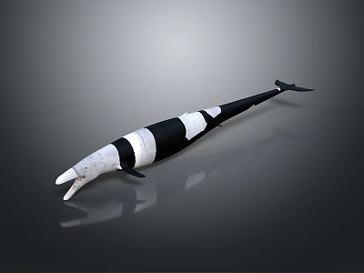 Fantasy Black And White Striped Long Fictional Marine Creature Game Movie Character 3d model