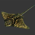 Beautiful Spotted Flat Bodied Long Tailed Marine Stingray Aquatic Animal