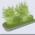 Shrubs in Rectangular Concrete Planter with Various Heights Shapes Round Trimmed and Tall Leafy Bushes