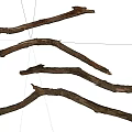 Natural Dry Wood Branches With Rustic Texture And Organic Shape 3d model