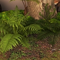 Fern Bryophytes Sick Trees Big Trees Pine Animals Sika Deer Landscape Greening Landscape Sick 3d model