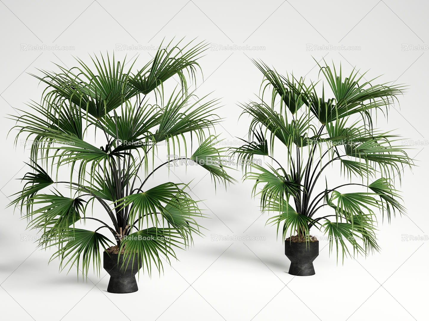 modern potted plant green plant potted plant bonsai floor plant 3d model