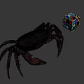 Realistic Brown Crab With Colorful Rubik's Cube On Gray Background