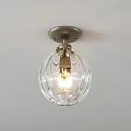 Modern Round and Globular Ceiling Lights with Golden Black Frames and Transparent Glass 3d model