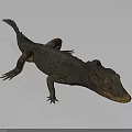 Realistic 3D Crocodile Model with Scaly Skin and Green Eyes on Gray Background