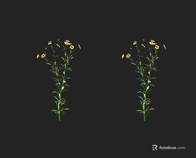 Two Symmetrical Plants With Yellow Flowers Green Stems And Leaves On Black Background 3d model 