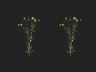 Two Symmetrical Plants With Yellow Flowers Green Stems And Leaves On Black Background 3d model
