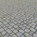 Gray Stone Tiles Neatly Arranged Outdoor Ground With Grass In Gaps