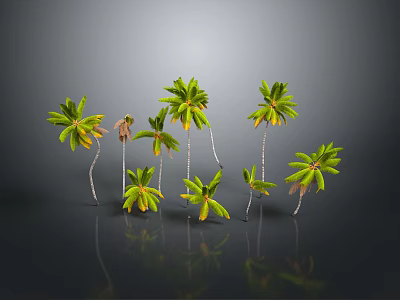 Green Palm Trees With Lush Leaves In Various Heights On Dark Background With Reflections 3d model