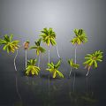 Green Palm Trees With Lush Leaves In Various Heights On Dark Background With Reflections
