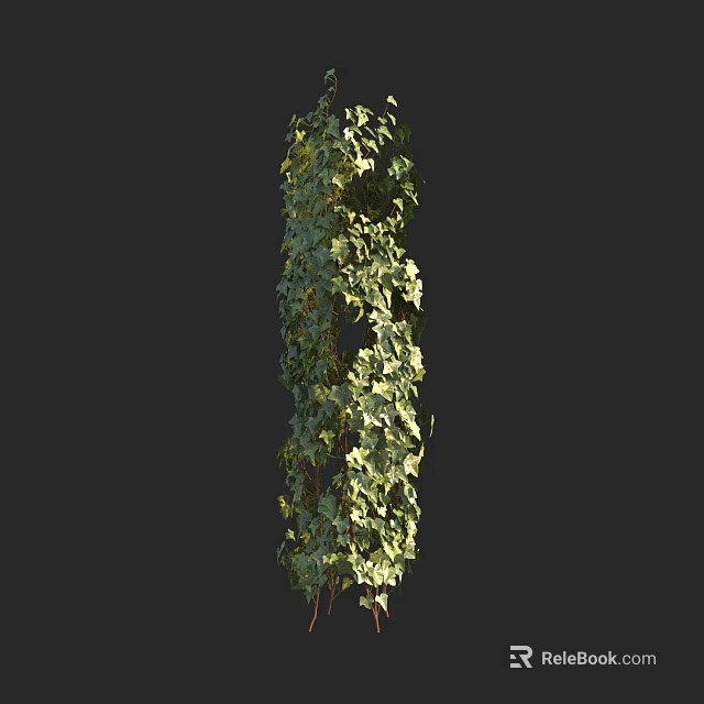 Lush Climbing Vine with Dense Green Leaves Growing Vertically Against Dark Background 3d model 
