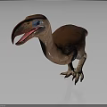 Dodo Bird 3D Model With Brown Feathers Blue Eyes Red Beak Standing On Gray Background