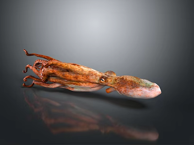 Brown Octopus With Extended Tentacles On Gray Background Showing Reflection 3d model