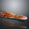 Brown Octopus With Extended Tentacles On Gray Background Showing Reflection 3d model