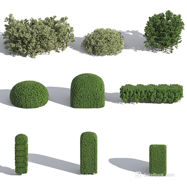 Different Types of Pruned Shrubs with Various Shapes for Garden Design and Decoration 3d model 