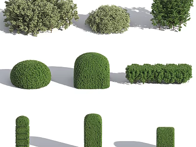 Different Types of Pruned Shrubs with Various Shapes for Garden Design and Decoration 3d model
