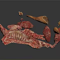 Variety Of Fresh Raw Meat Pieces Including Different Cuts Chunks And Slices
