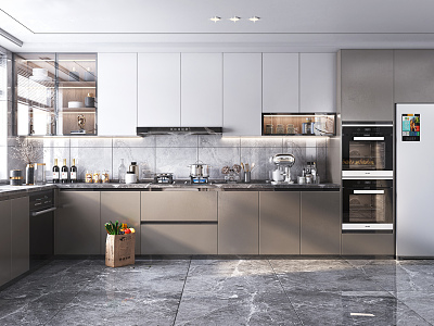 Modern Kitchen model