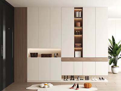 Modern Shoe Cabinet Interior Design With LED Lighting Storage Shelves And Organized Shoe 3d model