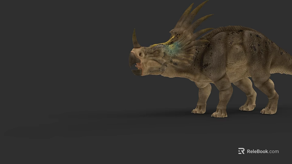 Realistic Reptile Dinosaur With Horned Head Spiked Frill And Textured Skin Standing In Gray Background 3d model 