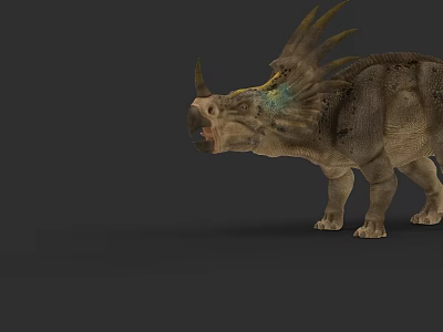 Realistic Reptile Dinosaur With Horned Head Spiked Frill And Textured Skin Standing In Gray Background 3d model