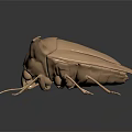 Copper Colored Beetle Model With Smooth Body And Reflective Wings On Dark Background
