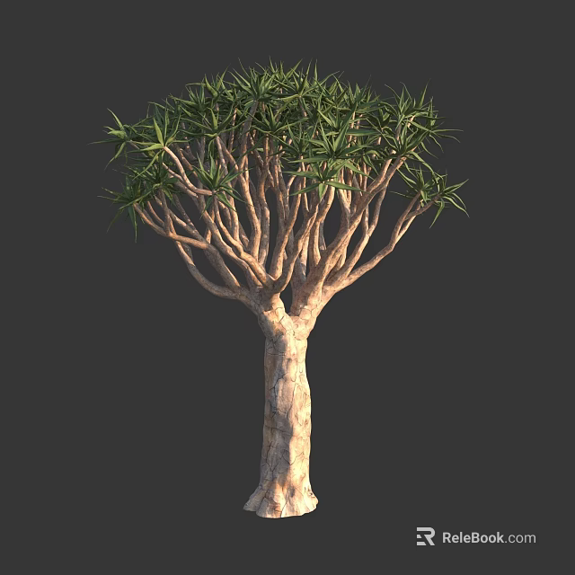 Tall Tree With Thick Textured Trunk Dense Green Leaves And Unique Branch Structure 3d model 
