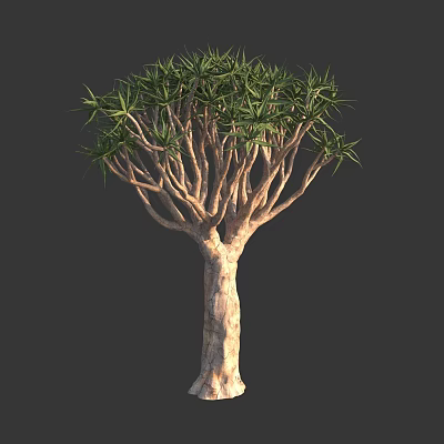 Tall Tree With Thick Textured Trunk Dense Green Leaves And Unique Branch Structure 3d model