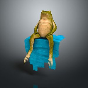 Frog Poison Frog Game Frog Reptile Cold Blooded Animal Reptile 3d model