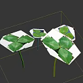 Fresh Green Clover Plants With Shiny Leaves And Slender Stems On Dark Background