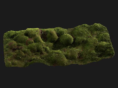 Lush Green Moss Covered Natural Rock Surface With Textured Details 3d model