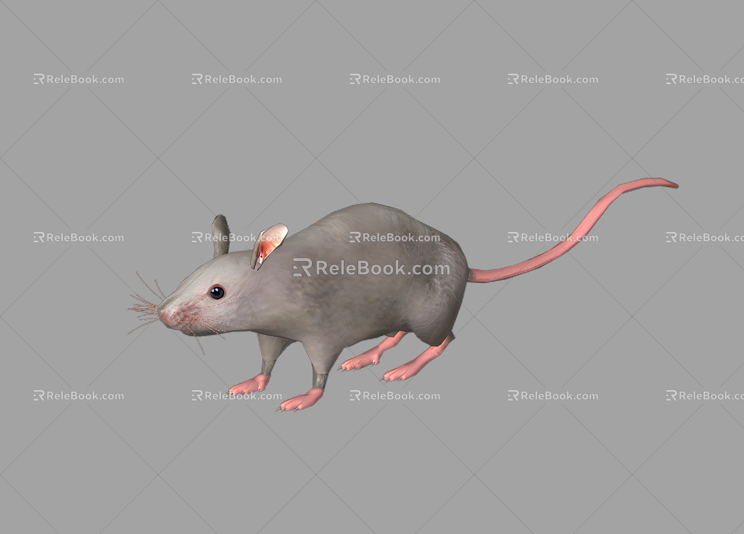 Mouse Realistic Mouse Mouse Reptile Animal Mammal 3d model