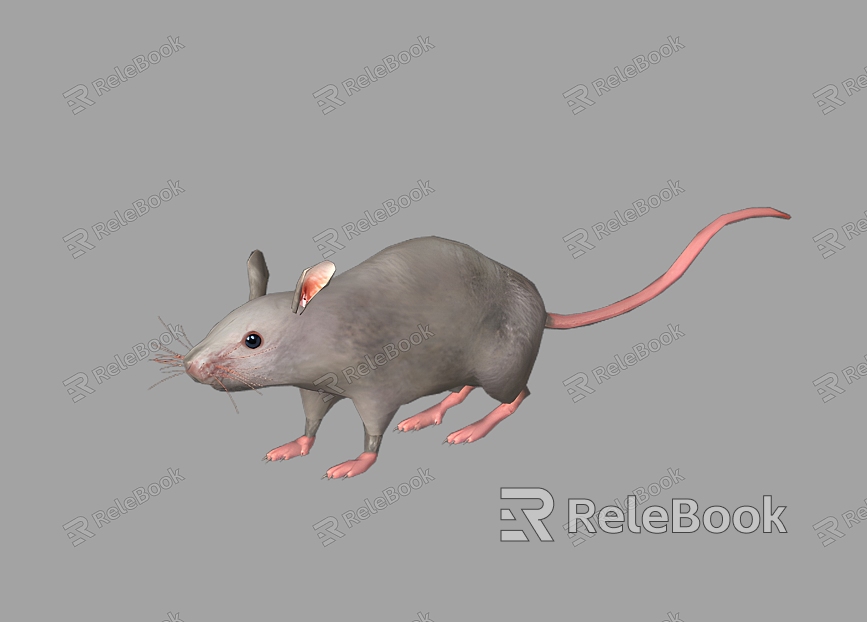 Mouse Realistic Mouse Mouse Reptile Animal Mammal model