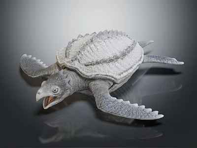 Gray Aquatic Turtle With Open Mouth Scaly Shell And Flippers On Dark Background Reflection 3d model