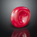 Human Ear Organ Anatomical Model With Red Textured Surface And Detailed Structure
