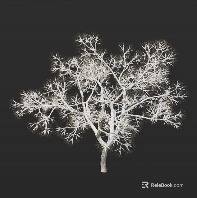 Arbor Showcasing White Branches And Clear Detailed Structure Against Dark Background 3d model 